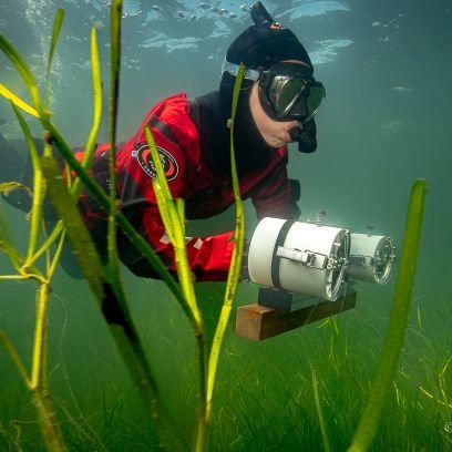 🌱🐠 Marine ecologist, studying juvenile fish  - macrophyte interactions 👩🏼‍🔬 PhD candidate at IMEDEA (CSIC-UIB). Views are my own.