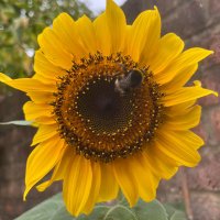 Kerry Broom (@kerrybroom1) 's Twitter Profile Photo Kerry Broom (@kerrybroom1) 's Twitter Profile Photo