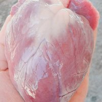 yanliz bey gizli (@yanlizbey161795) Twitter profile photo