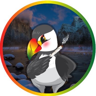 puffinhoneyfrut Profile Picture