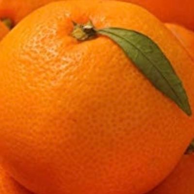 🍊トミー🍊さんのプロフィール画像