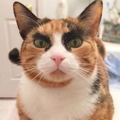DPT0YY1Szi69665's profile picture. 