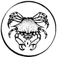 Tim Ó Mortis (@timomortis) 's Twitter Profile Photo