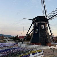 jun (@tsupjun) 's Twitter Profile Photo