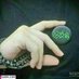 زهرا (@zhr1581323) Twitter profile photo زهرا (@zhr1581323) Twitter profile photo