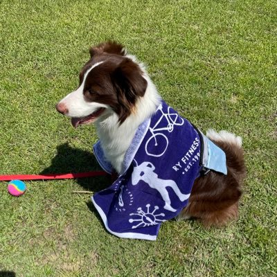 miho18547933's profile picture. 吉沢亮さん全力応援中！吉沢さん以外のことも呟きます🙏相当いい大人🎩2020.12/4🦋2022.3/2.11🎤2023.7/17･2024.7/10(1.2部)🌿2024/9/21🧛‍♂️2025.8/1🪭2025.8.10🐶BC2021.5/23♂ #RYFC会員