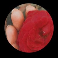 مۭــذهــڶــہ🌹 (@algohra5012) 's Twitter Profile