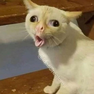 awanpelangitam's profile picture. 