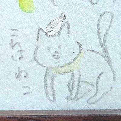 nekosuke91 Profile Picture