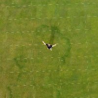 Lee Miller (@purdueturfpath) 's Twitter Profile Photo Lee Miller (@purdueturfpath) 's Twitter Profile Photo