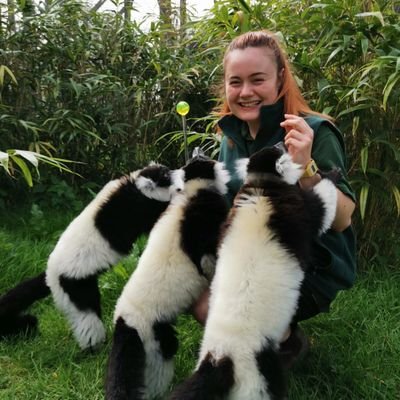 Zookeeper 🐾
BSc Animal Science 🎓
Special interest in marsupials, primates and xenarthra 🐒🦥
she/her