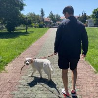 Ivo (@ivan_portos_8) 's Twitter Profile