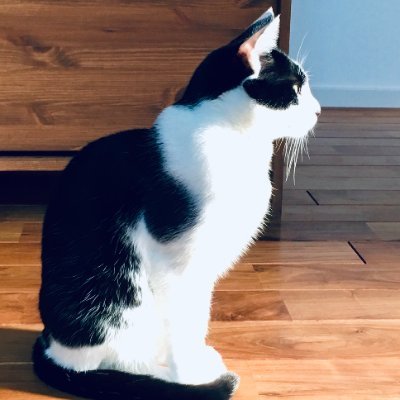 _hnsol's profile picture. けんきう領域：3Dプリント（P1P,Gridfinity）キーボード（Atreus,Planck）テキストワーク（Emacs,Vim,LLM）世界の編み直し（Obsidian初期日本語化,待庵写茶室,珈琲焙煎,菌ちゃんウネ作り屋,布想）ゲーム文化（MinUI,plumOS,RGB30,Pyxel,Steam Deck）