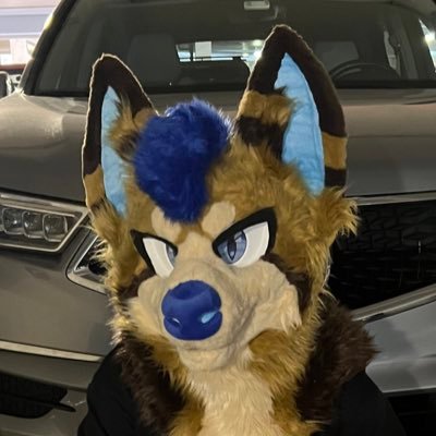 20 male, likes 🔞 SFW: @furrmox ALT: @furrmoxAD