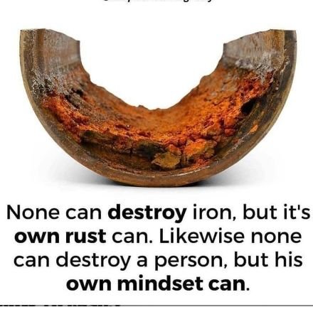 telamba556's profile picture. A nobody.. 
only use this to read smau etc