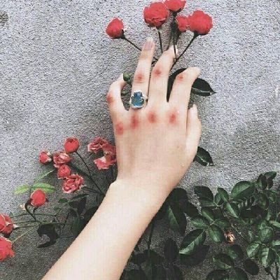 wbyxu4Z26b68613's profile picture. 