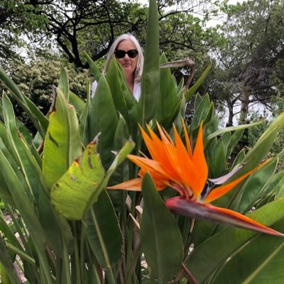 Lovedove60's profile picture. 