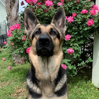 Jessica45516530's profile picture. 