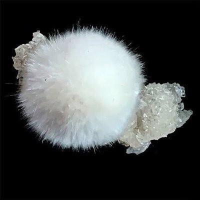 keukegen35's profile picture. 20↑ 無言フォロー失礼します