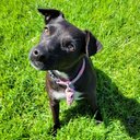 Ted Carson - @CarsonTed93399 - Twitter