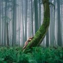 Nevaeh Garrison - @NevaehGarriq154 - Twitter