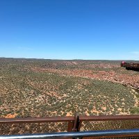 Darren Wade (@erdtree66) 's Twitter Profile