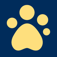 Guide Dogs(@guidedogs) 's Twitter Profile Photo