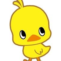 ひよこちゃん🐤ピョヨピョヨお散歩しています♥