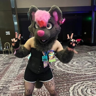 FurryUwU_Rawr's profile picture. 