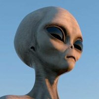 Local Stranger (@lxcalstranger) 's Twitter Profile