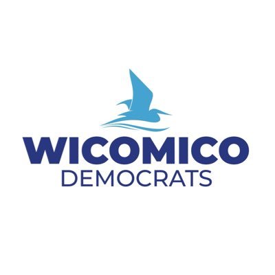 Authority of Wicomico County Democratic Central Committee, Treasurer, Luc Angelot