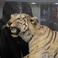 Marilee smith (@cos_chs) 's Twitter Profile Photo