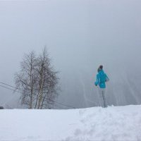 Donna (@vetterdonna68) 's Twitter Profile