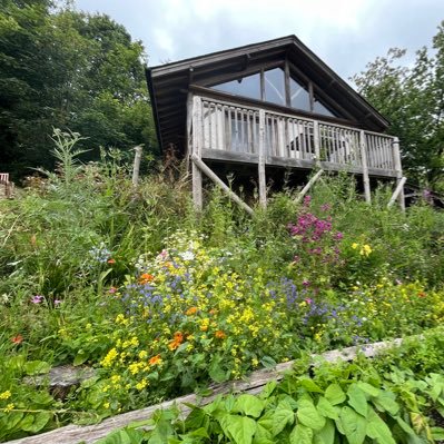 Moulsecoomb Forest Garden & Wildlife Project. Outdoor education, gardening, cooking, bushcraft and nature study for people of all abilities.