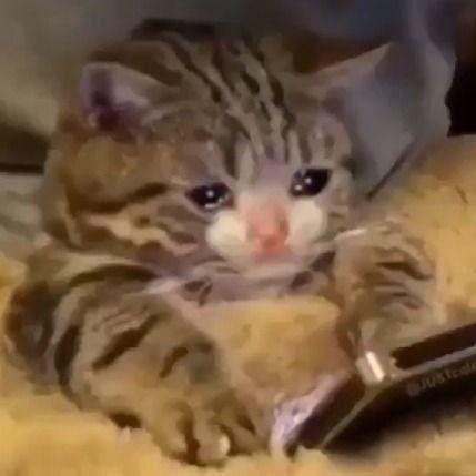 mindofmiiiine's profile picture. will you sway with me? go astray with me?