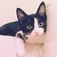 MIHOcrew5 (@mihocrew5) 's Twitter Profile
