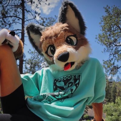 Furry, Freerunner, Maker | Any Pronouns✨ | Taken 💍 Lucy | Fox/Wolf Hybrid | Cripplingly Optimistic