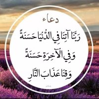 أبو بندر (@abobandar79) 's Twitter Profile