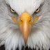The Good Ol' U.S. of A. (@thegoodolusofa) Twitter profile photo The Good Ol' U.S. of A. (@thegoodolusofa) Twitter profile photo