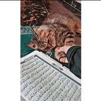 قمر الليل (@moshira_abbas) Twitter profile photo