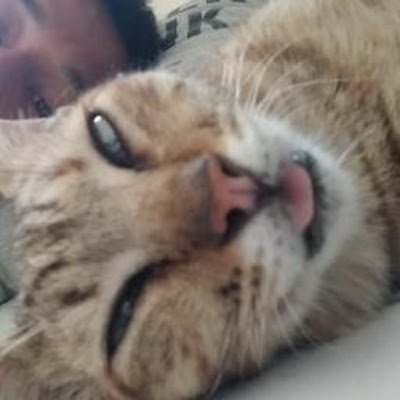 RiyoAdo's profile picture.