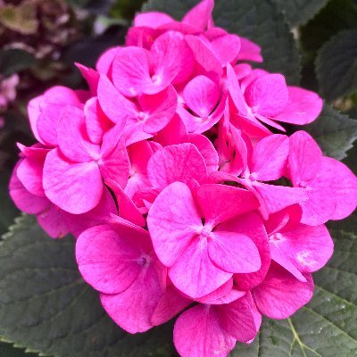 parunenuitdete's profile picture. 