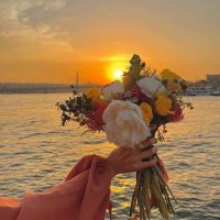 Noura A. Alaswad (@nouraalaswad) Twitter profile photo