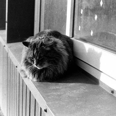 FingesrInTheAss's profile picture. 