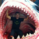 Paul Ogden - @oggyogden01 - Twitter