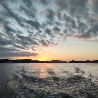 GFCPatriot (@jason_risc19831) 's Twitter Profile