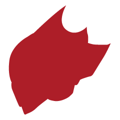 geass_stage's profile picture. 舞台版「コードギアス　反逆のルルーシュ」騒乱 前夜祭（イヴ）公式アカウント／4月7日（土）～16日（月）＠かつしかシンフォニーヒルズモーツァルトホール／ご来場ありがとうございました。／ハッシュタグは #舞台版コードギアス