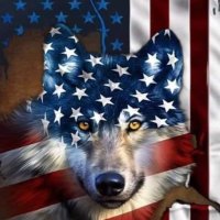 EddieE 🇺🇸(@EddieE0802) 's Twitter Profile Photo