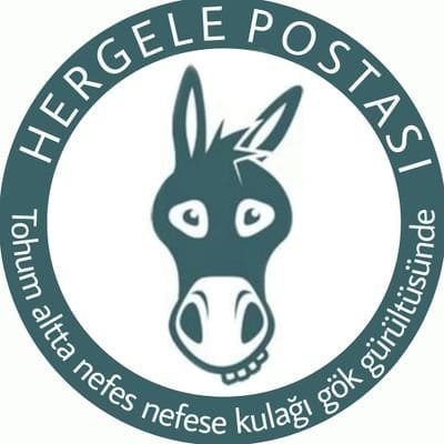 HergelePostasi Profile Picture