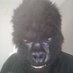 Gorilla Grudge (@maurice_sears) Twitter profile photo Gorilla Grudge (@maurice_sears) Twitter profile photo